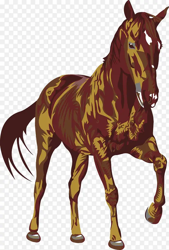 棕色的马匹