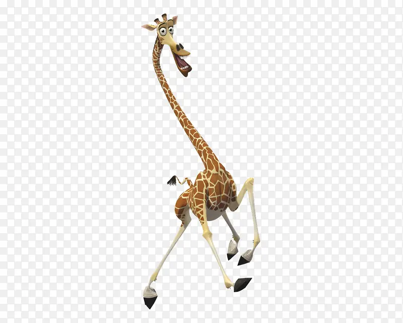 长颈鹿  长脖子  可爱  动物