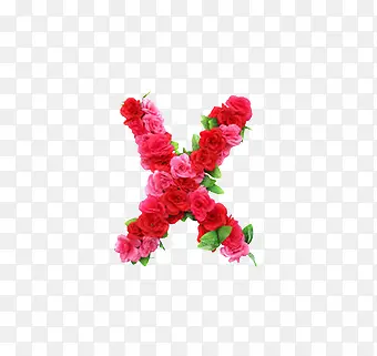 x英文字母花朵元素