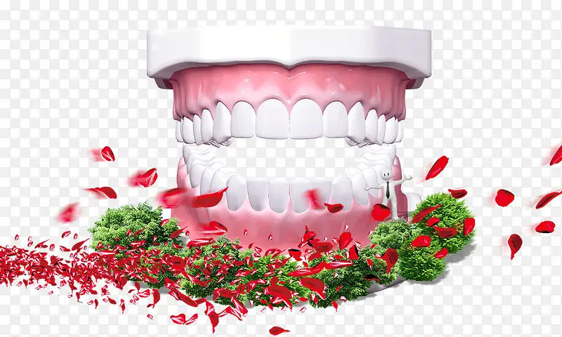 牙齿健康模型