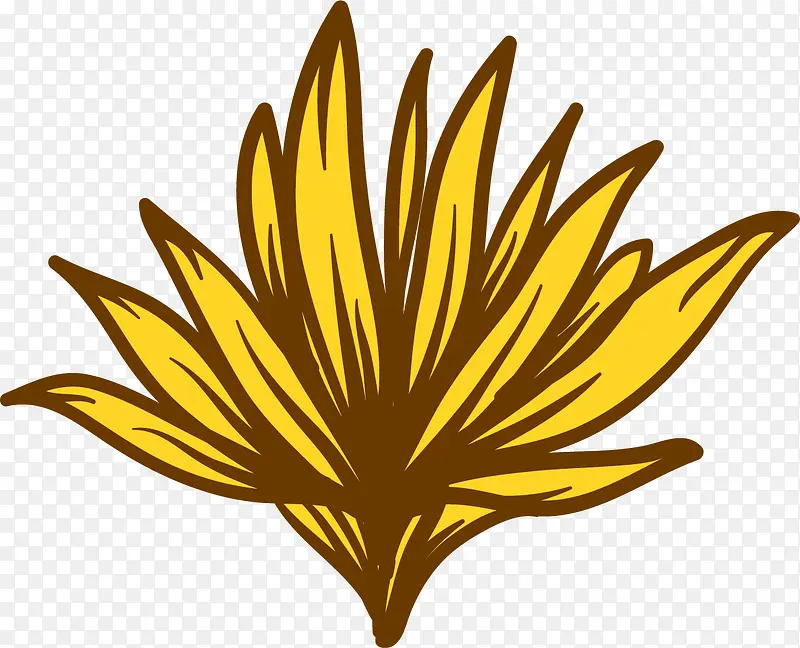 枯萎的黄花
