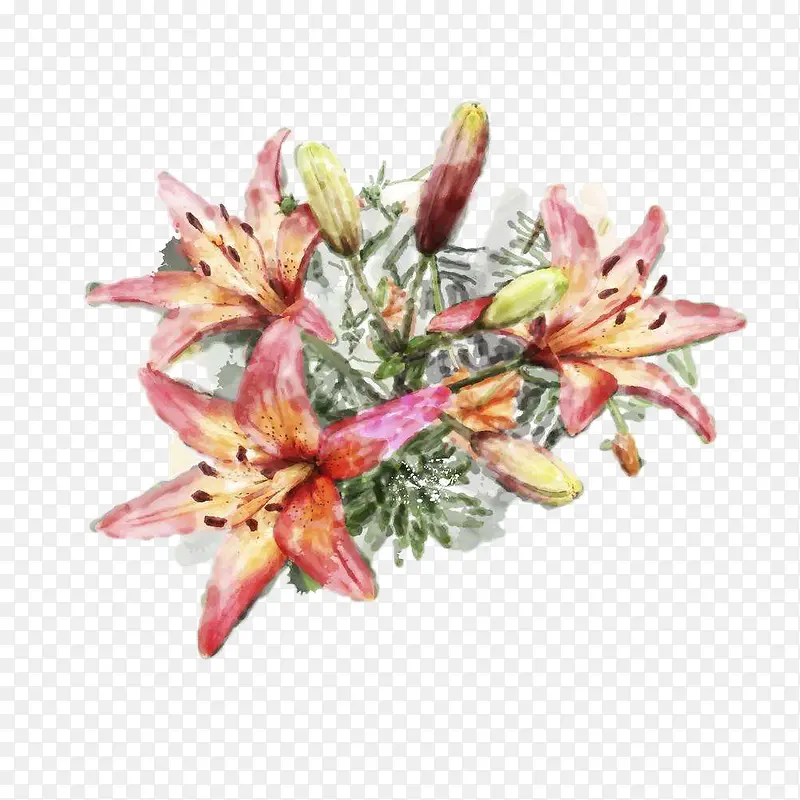 水彩百合花