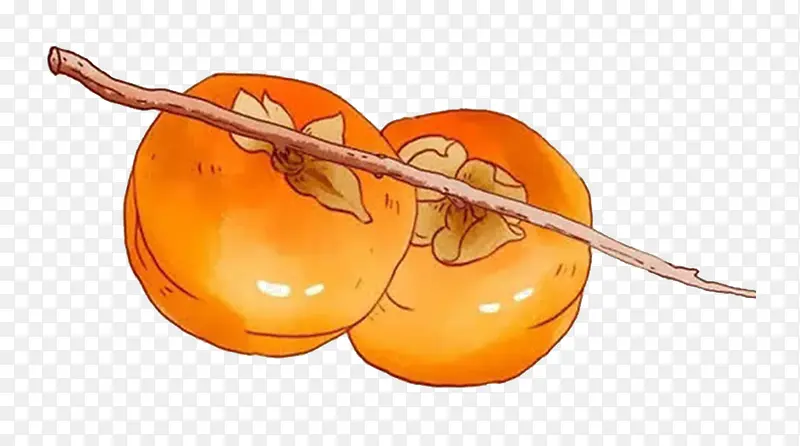 手绘秋季柿子元素