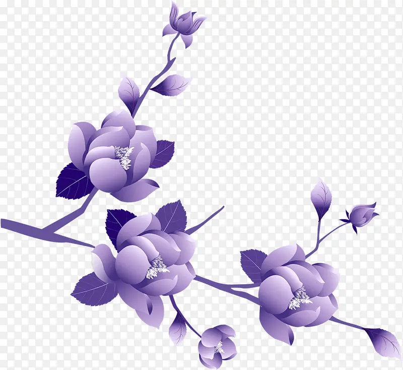 紫色含苞花朵