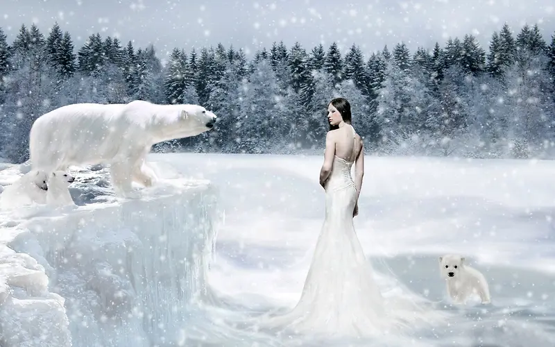 雪地松树林北极熊美女雪夜海报背景