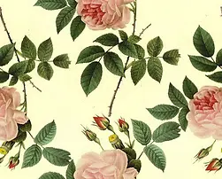 复古花纹图片几何花纹 花朵