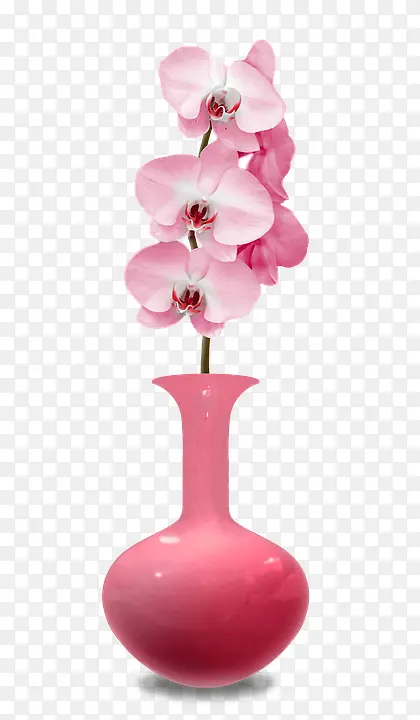 粉色花插在花瓶里