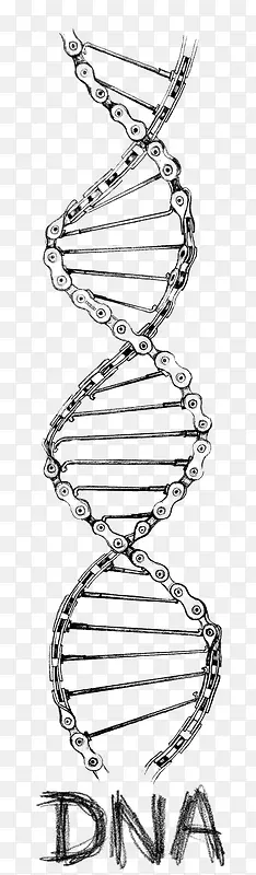 链条DNA