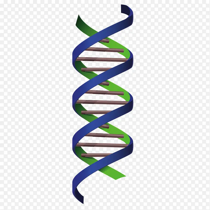矢量卡通DNA链条基因链PNG图片素材下载_图片编号8088000-PNG素材网