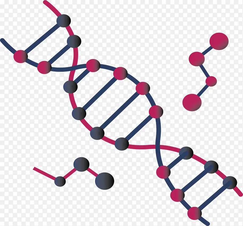 生物科技双螺旋结构