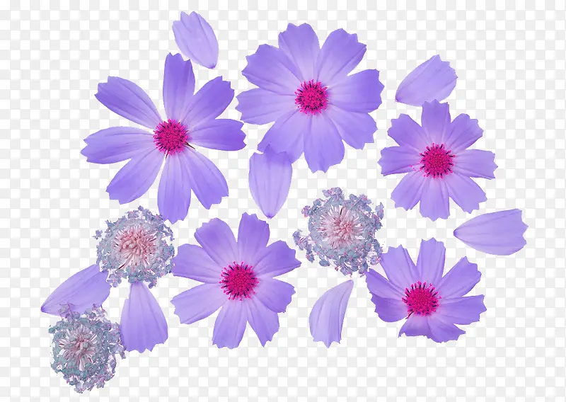 高雅紫色手绘风格花朵