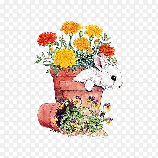 花盆和兔子