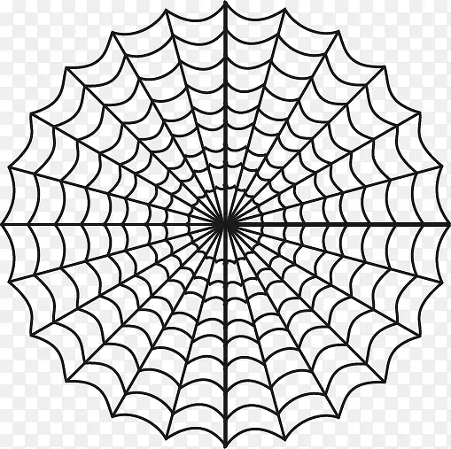 矢量手绘蜘蛛网