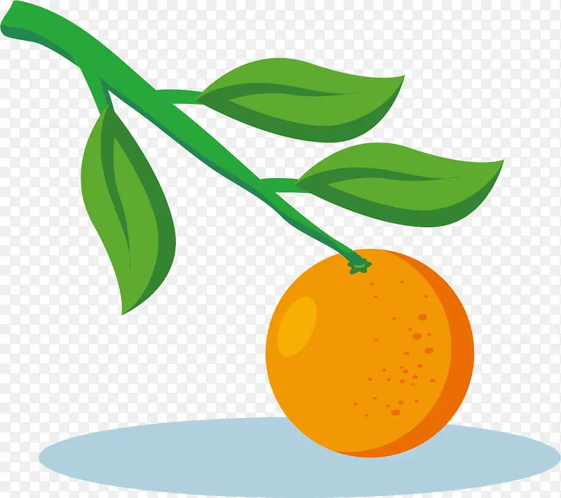 矢量卡通扁平风格柑橘