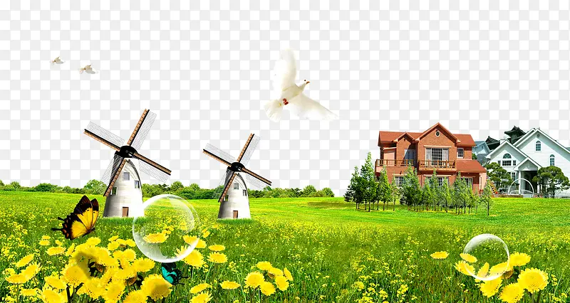 绿草房子和平鸽