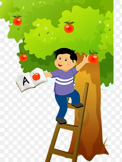 上树摘苹果的男孩