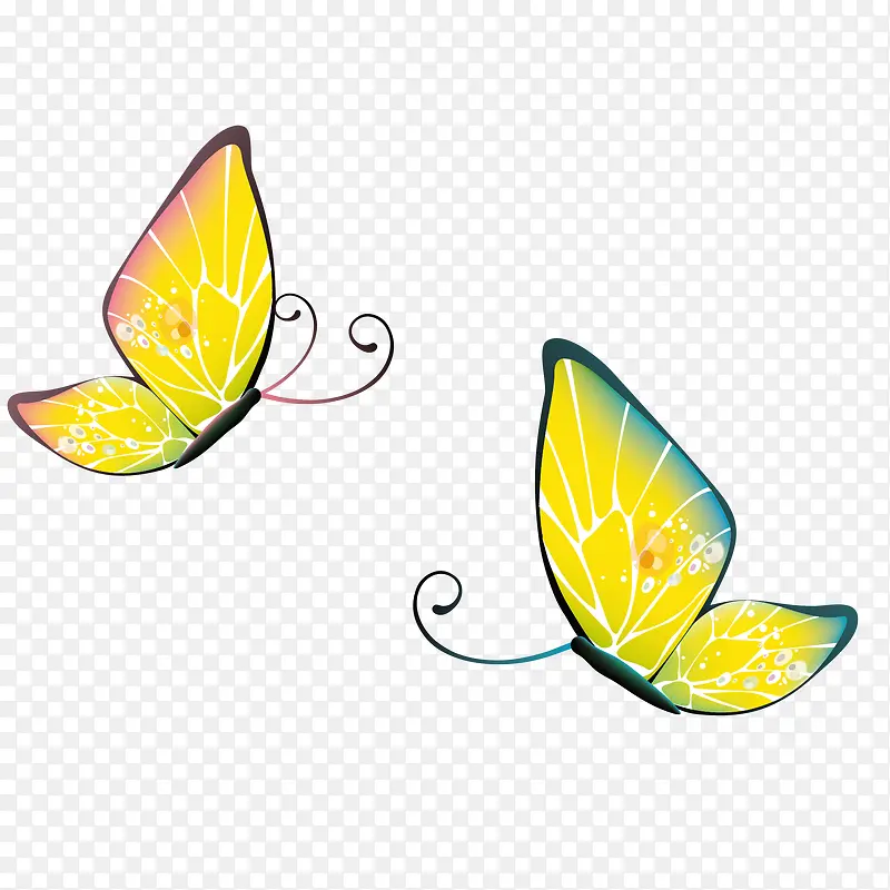 色彩丰富的两款蝴蝶矢量素材