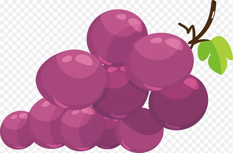 矢量图紫色水晶葡萄