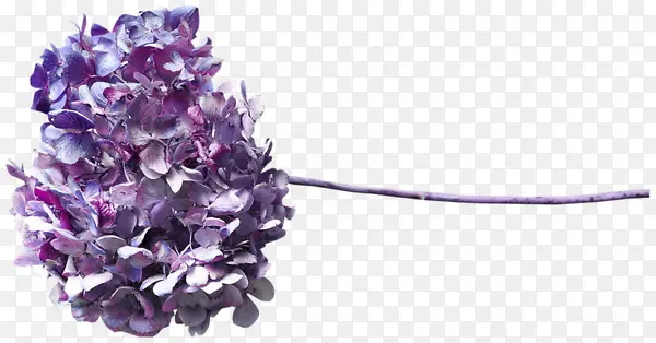 一枝鲜花PNG图片素材下载_图片编号8133322-PNG素材网