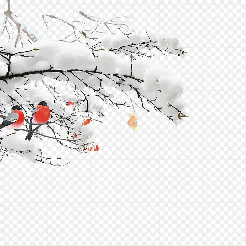 白色雪景