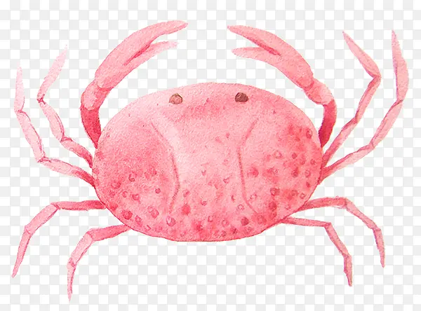 手绘卡通粉色可爱螃蟹