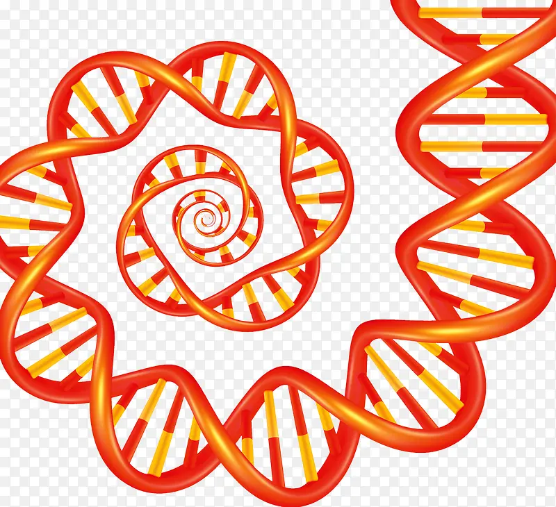 人体DNA遗传物质链