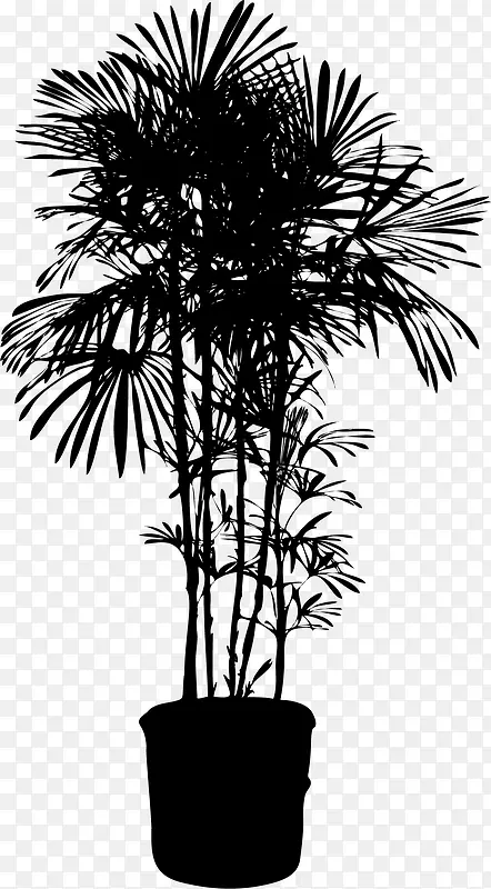 植物剪影