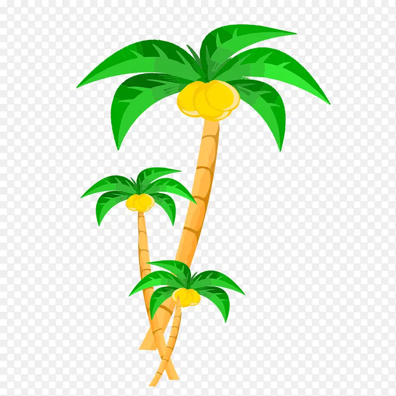 椰子树 