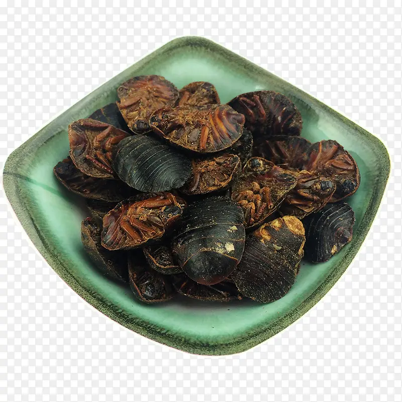 土鳖虫地鳖虫中药材