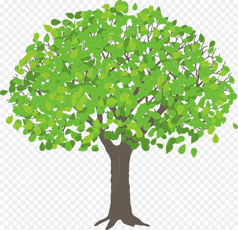 绿色清新春季树木