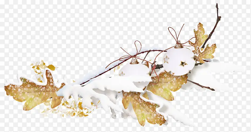 白雪绳子枝叶