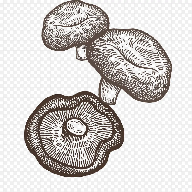 三个线描蘑菇