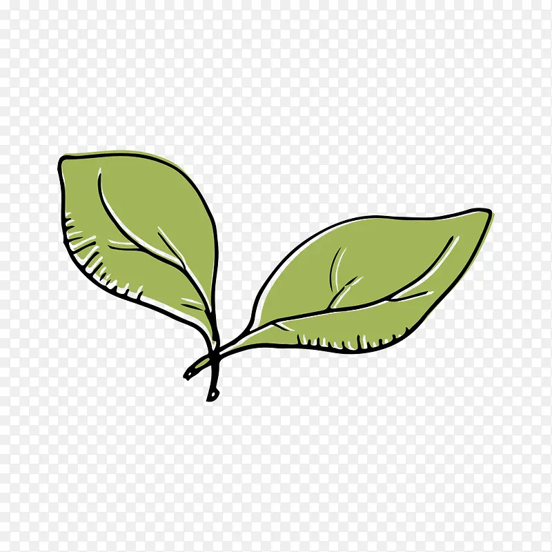 手绘树叶