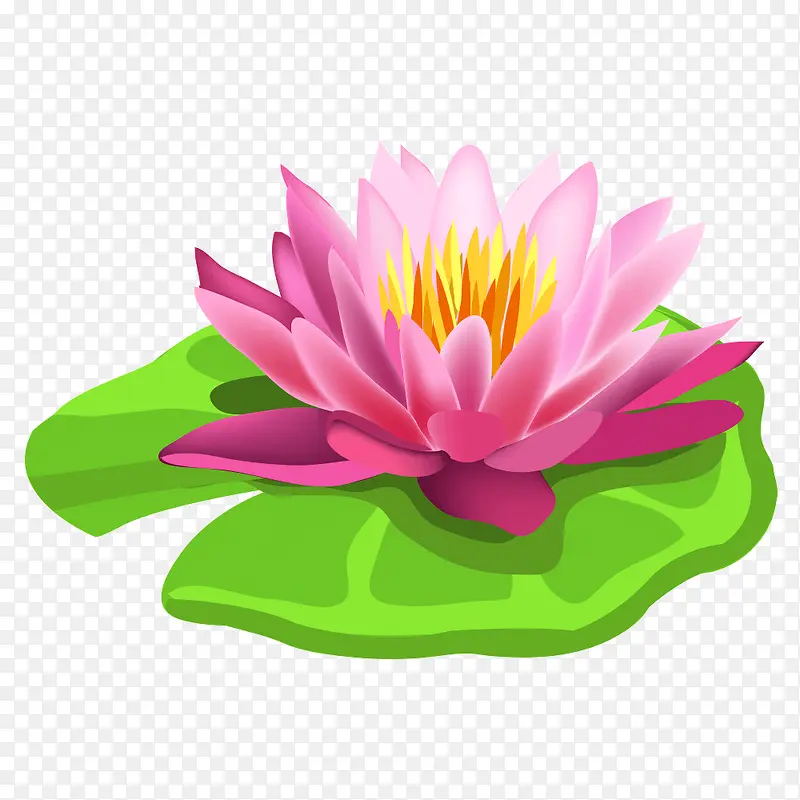 荷花素材