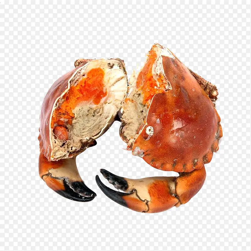螃蟹PNG