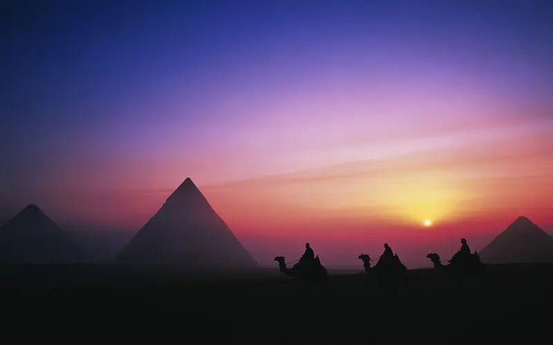 日落金字塔骆驼海报背景