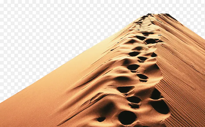 金色沙漠脚印