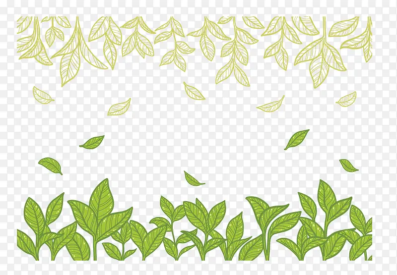 夏季绿茶小清新树叶