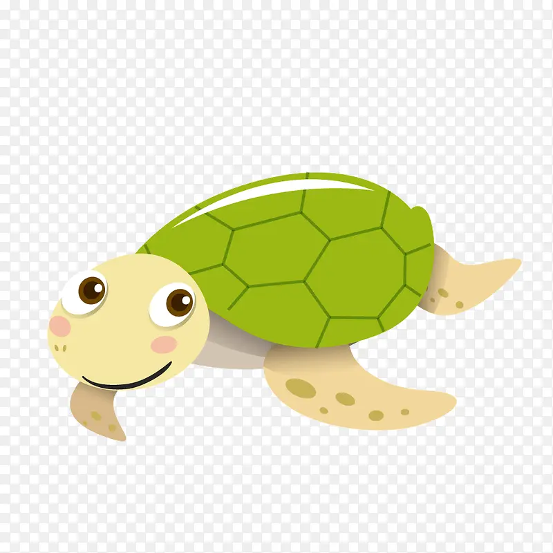 绿色乌龟海龟