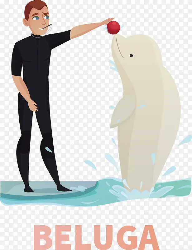 饲养员与白色海豚玩耍