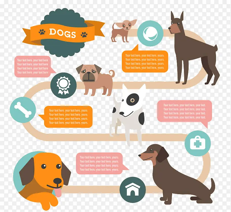 狗类信息图