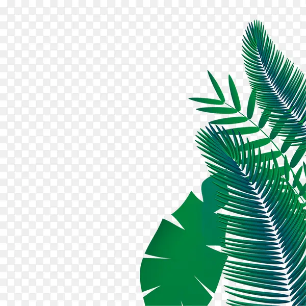 热带雨林植物手绘边框