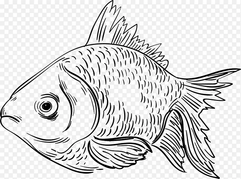 世界海洋日素描小鱼