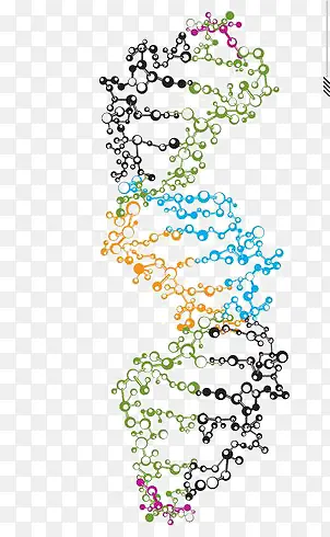DNA链断裂
