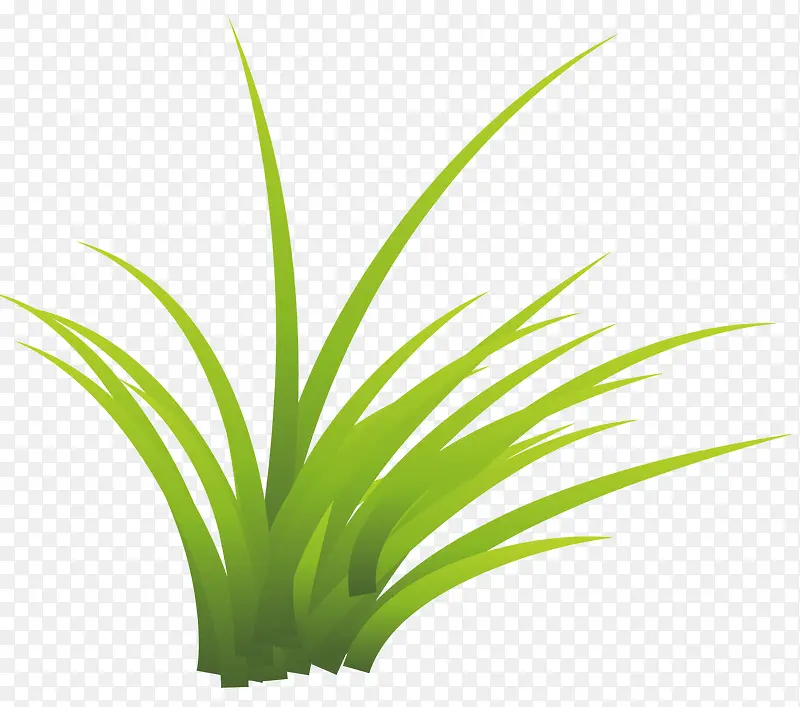 绿色的草