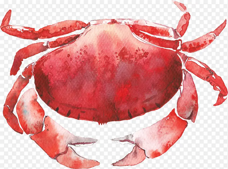 手绘美味红色小螃蟹