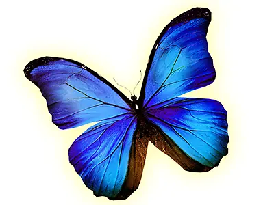 蓝色发光蝴蝶