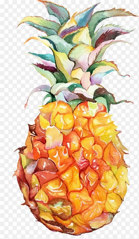手绘卡通水彩菠萝