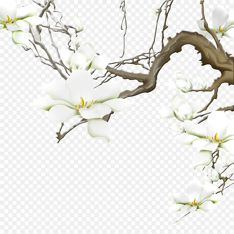 花枝PNG图片素材下载_图片编号8161852-PNG素材网