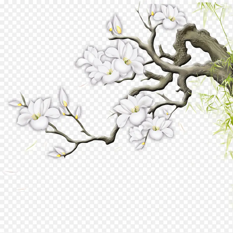 花枝PNG图片素材下载_图片编号8161847-PNG素材网